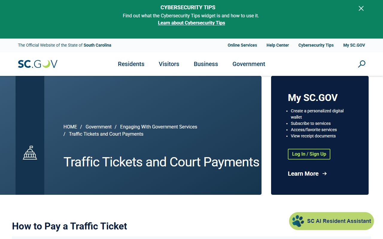 South Carolina traffic ticket payment guide for Beaufort County traffic court records